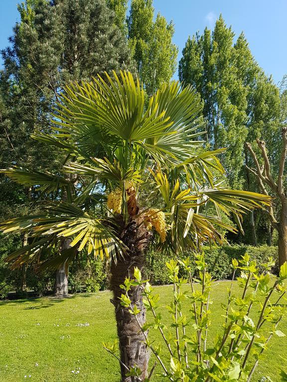 Hotel Du Golf Cabourg Luaran gambar